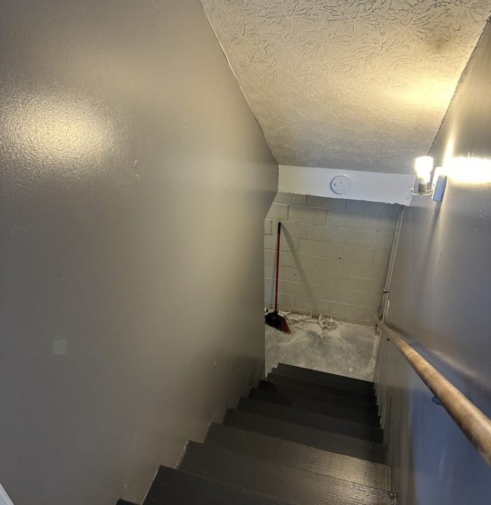 Basement Renovation